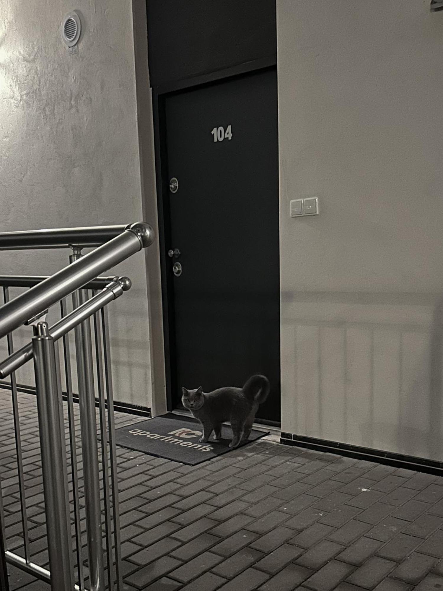 ברנו Haas Apartments Downtown With Parking מראה חיצוני תמונה